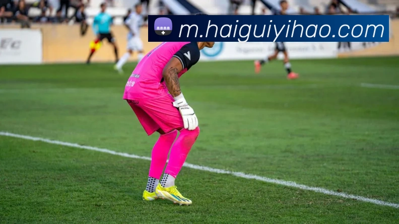 App Interface Preview